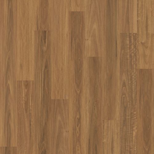 Marvel V511 Spotted Gum